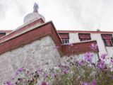 20150914-IMG 0437 : Ladakh, Shey, Tikhe