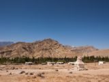 IMG 0020 : Ladakh