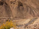 IMG 0027 : Ladakh