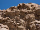 IMG 0031 : Ladakh