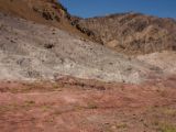 IMG 0036 : Ladakh