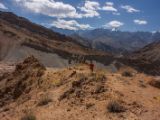 IMG 0055 : Ladakh