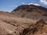IMG 0057 : Ladakh