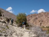 IMG 0078 : Ladakh