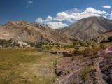 IMG 0096 : Ladakh