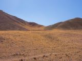IMG 0114 : Ladakh