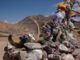IMG 0133 : Ladakh