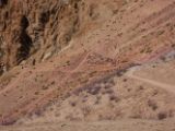 IMG 0136 : Ladakh