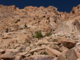 IMG 0149 : Ladakh
