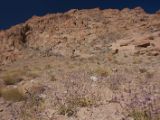 IMG 0154 : Ladakh