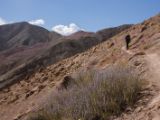 IMG 0156 : Ladakh