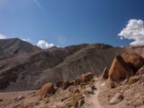 IMG 0157 : Ladakh
