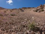 IMG 0170 : Ladakh