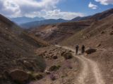 IMG 0199 : Ladakh