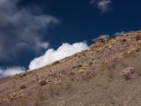 IMG 0204 : Ladakh