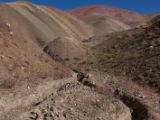 IMG 0214 : Ladakh