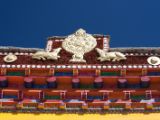 IMG 9937