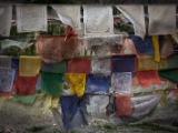 IMG 0246 : Ladakh