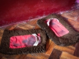 IMG 0247 : Ladakh