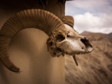 IMG 0285 : Ladakh