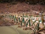 IMG 0316 : Ladakh