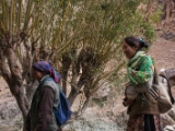 IMG 0350 : Ladakh