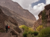 IMG 0360 : Ladakh