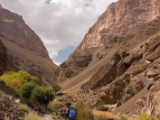 IMG 0365 : Ladakh