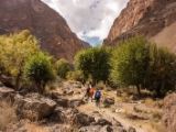 IMG 0380 : Ladakh