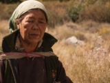IMG 0387 : Ladakh