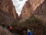 IMG 0400 : Ladakh
