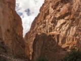 IMG 0405 : Ladakh