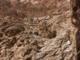 IMG 0438 : Ladakh