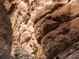 IMG 0447 : Ladakh