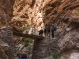IMG 0454 : Ladakh