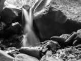 IMG 0463 : Ladakh