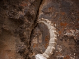 IMG 0471 : Ladakh