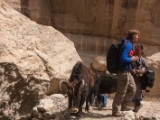 IMG 0482 : Ladakh