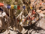 IMG 0504 : Ladakh