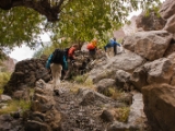 IMG 0542 : Ladakh