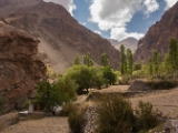 IMG 0543 : Ladakh