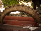 IMG 0558 : Ladakh