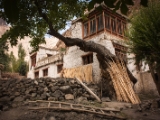 IMG 0560 : Ladakh