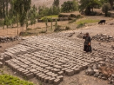 IMG 0564 : Ladakh