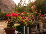 IMG 0609 : Ladakh