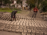 IMG 0612 : Ladakh