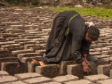 IMG 0616 : Ladakh