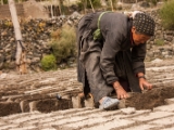 IMG 0619 : Ladakh