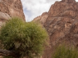 IMG 0634 : Ladakh