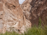 IMG 0637 : Ladakh
